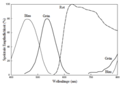 Spekrale Empfindlichkeit der integrierten Farbfilter