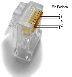 Bild:Rj45plug-8p8c.png